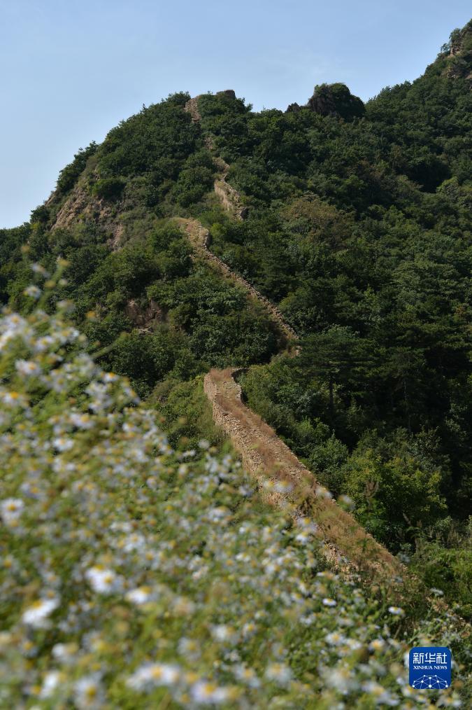 大鱼在线P443593